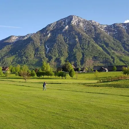 Alps View City Center *